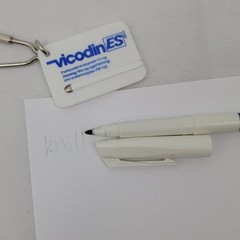 VICODEN Keychain PEN Drug Rep KNOLL Basf Pharmaceuticals Promo Advertising