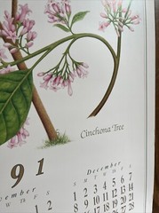 Vintage 1991 Cinchona Tree Pharmacy History Pharmacist Poster Afrin Promo Swag