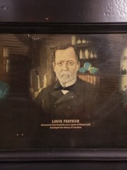 1940s Pioneers Pharmaceutical Science Doctor s Office/Pharmacy Cardboard Display