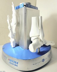 „Anatomical Arthritis Model“ Of a Hand, Foot, & Spine ~Pfizer~ Celebrex/Bextra