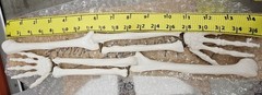 NEW (Vintage) Antique Display Skeleton 33” tall Searle Pfizer + Base COLLECTIBLE