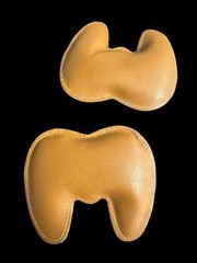Synthroid Hormone Advertising Pharmacy Weights Paper Office Desk Document