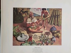 Vintage 1951 Set of 6 Parke Davis A History Of Pharmacy In Pictures Lithographs