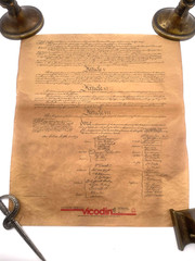 Vicodin US Constitution Replica 4-Page Promo Mailer w/ packaging