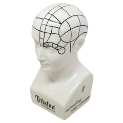 Schering TRILAFON Tranquilizer Phrenology Head Ceramic Bust Figurine 1960s – D