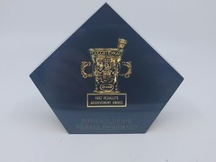 1962 Rexall Rexallite Achievement Award Pharmacy Pharmaceutical Antique