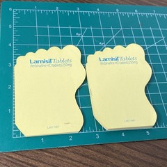 VTG Foot Shaped LAMISIL Tablets Post-it Pads Pharmaceutical Drug RX Rep Used