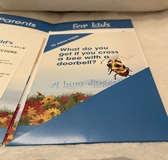 NASONEX 2005 Pharma “ BEE PREPARED: Info & Fun Stuff “ Packet-child allergies