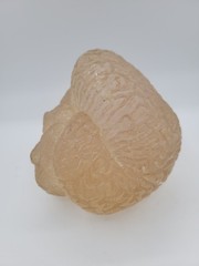 Vintage Lucite Acrylic Brain Cerebellum Model Medical Pharmaceutical Science