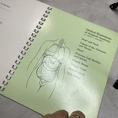 1975 Eli Lilly Pharmaceutical Medical Illustrations Of Surgical Anatomy Macabre
