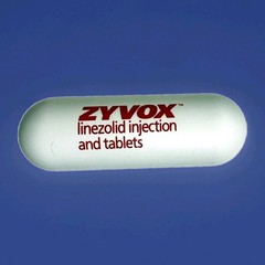 Vtg Zyvox Linezolid Pharmaceutical Drug Promo Capsule Electronic Letter Opener