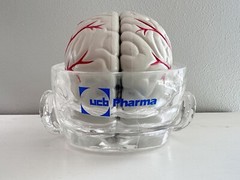 UCB Pharma Lucite Head Skull Brain Model Medical Pharmaceutical Science Display