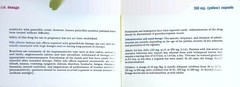 Vintage 1967 Grisactin 250 Medical Advertising Brochure – Ayers Laboratories