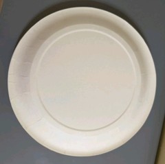 Vtg 1996 Pfizer Pratt Paper Plates 20ct Zoloft Procardia XL Norvasc Glucotrol XL