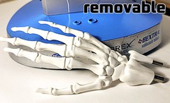 „Anatomical Arthritis Model“ Of a Hand, Foot, & Spine ~Pfizer~ Celebrex/Bextra