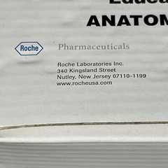 Colon Cancer Anatomical Anatomy Model Chart Display Roche Pharmaceutical Xeloda