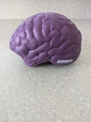 Zyprexa Eli Lilly Promotional Brain Toy Stress Reliever