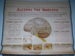 „ALCOHOL THE NARCOTIC“ 1930S PULL DOWN MEDICAL CHART , DENOYER GEPPERT 44X36