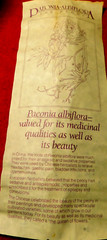 C/J~Apothecary Jar Eli Lilly „Paeonia Albiflora“ Pharmaceutical 4-58 Blue Empty
