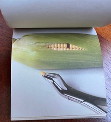 very rare Charles E. Frosst 222 ‚Pain‘ promo Notepad 1978 Canada Pharmaceuticals