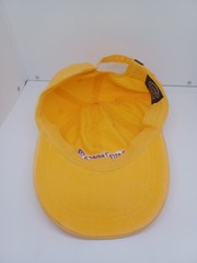 Rare Astra Zeneca Pharmaceutical Promo Hat One Size Adjustable Embroidered