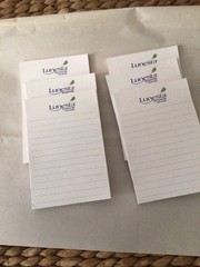 Lot of 6 Lunesta Pharmaceutical Post It Notes 4×6 Note Pad Sticky Notes New