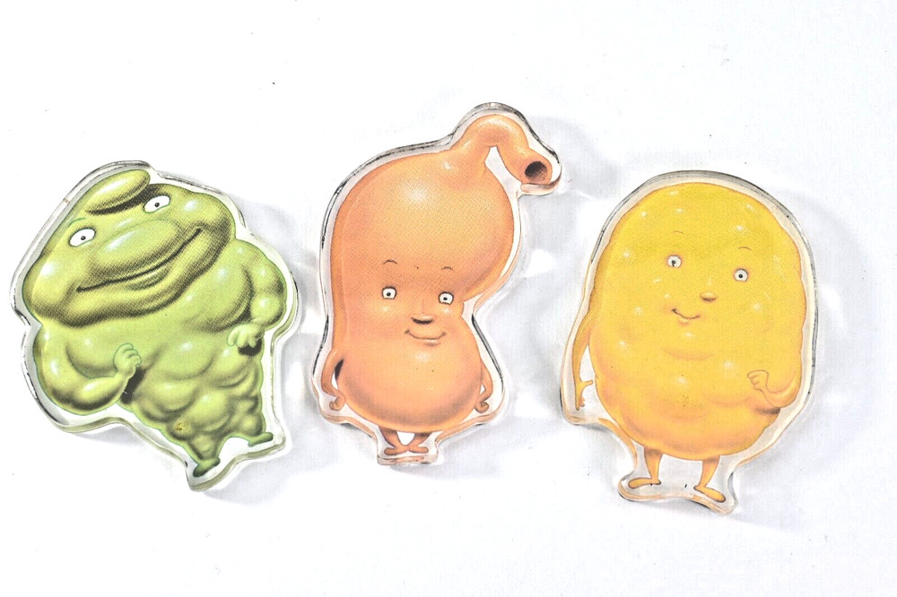Actos Drug Rep Refrigerator Magnet Internal Organs Advertising