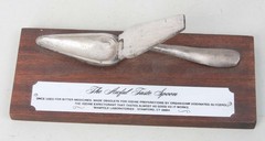 1960’s AWFUL TASTE SPOON Used for Bitter Medicines, on Wood Made in Spain