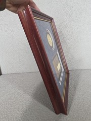 Pfizer Drug Company Framed Plaque Award Rare Pharmaceutical Collectible