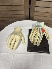 1967 MEDICAL HAND MODEL Anatomical Merck Sharp Dohme Indocin Advertising