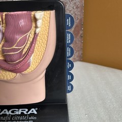 Vintage Viagra Detrol LA s Anatomy Model Pfizer Informational Pull Out Cards
