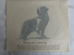 Astra Pharmaceutical 10th Anniversary Animal Prints Xylocaine D. Schwartz 1950s