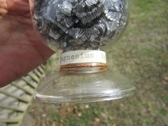 MAGNESIUM Mg Show Bottle DISPLAY Dome LABORATORY APOTHECARY SCIENCE Chemical !!