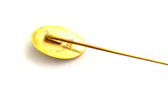 Vintage Pennwalt Pharmaceutical Div. 100 Anniv. Stick Pin (L2)