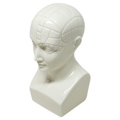 VTG Boehm ETRAFON Phrenology Head Ceramic Bust Drug Advertising Figurine – E