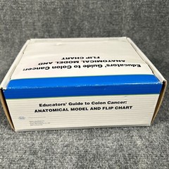 Colon Cancer Anatomical Anatomy Model Chart Display Roche Pharmaceutical Xeloda