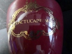 Lactucarium Jar Monastery Decorative Porcelain Burgundy Gold Accents Unique