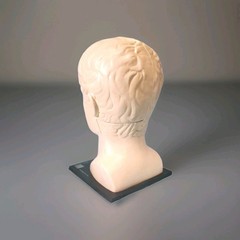 Vintage ELAVIL Anatomical Head w/ Removable Brain 1970s MSD Pharmaceutical Promo