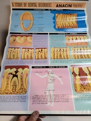 Vintage ANACIN Tablets WHITEHALL Laboratories ADVERTISING Dentist DENTAL POSTER