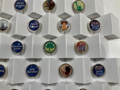 Rare Celgene 2013 National Sales Meeting District Pin Set – 50+ Pins Display