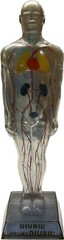 RARE DIURIL VINTAGE MEDICAL ADVERTISING ANATOMY FIGURINE VISIBLE MALE MERCK & CO