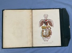 Antique Medical Anatomy Book Embalmer Anatomy Book Binder 1903