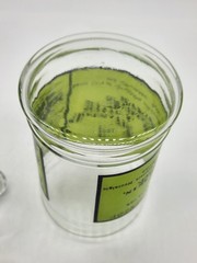 Vintage Glass Apothecary Jar With Lid Army Navy Liniment Medicine Remedy 1970’s