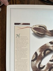 Vintage 1991 Pit Viper Venom Pharmacy History Pharmacist Poster Afrin Promo Swag