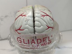 Gliadel Human Brain Anatomy Model w/ Clear Skull PharmaDesign Medical Display