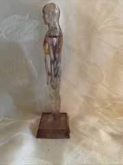 Vintage Diuril Hydro Male Medical Anatomy, 6.5″