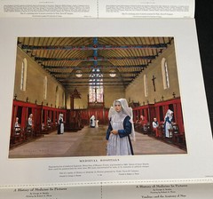 A History Of Medicine In Pictures- Series Two Set Parke Davis Robert Thom