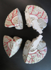 Head Skull Brain Model Seroquel Medical Pharmaceutical Lucite Medical Display