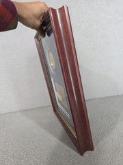 Pfizer Drug Company Framed Plaque Award Rare Pharmaceutical Collectible