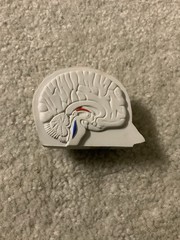 Vintage Imitrex Brain Shaped Foam Stress Ball Medical Advertising Promo Rare